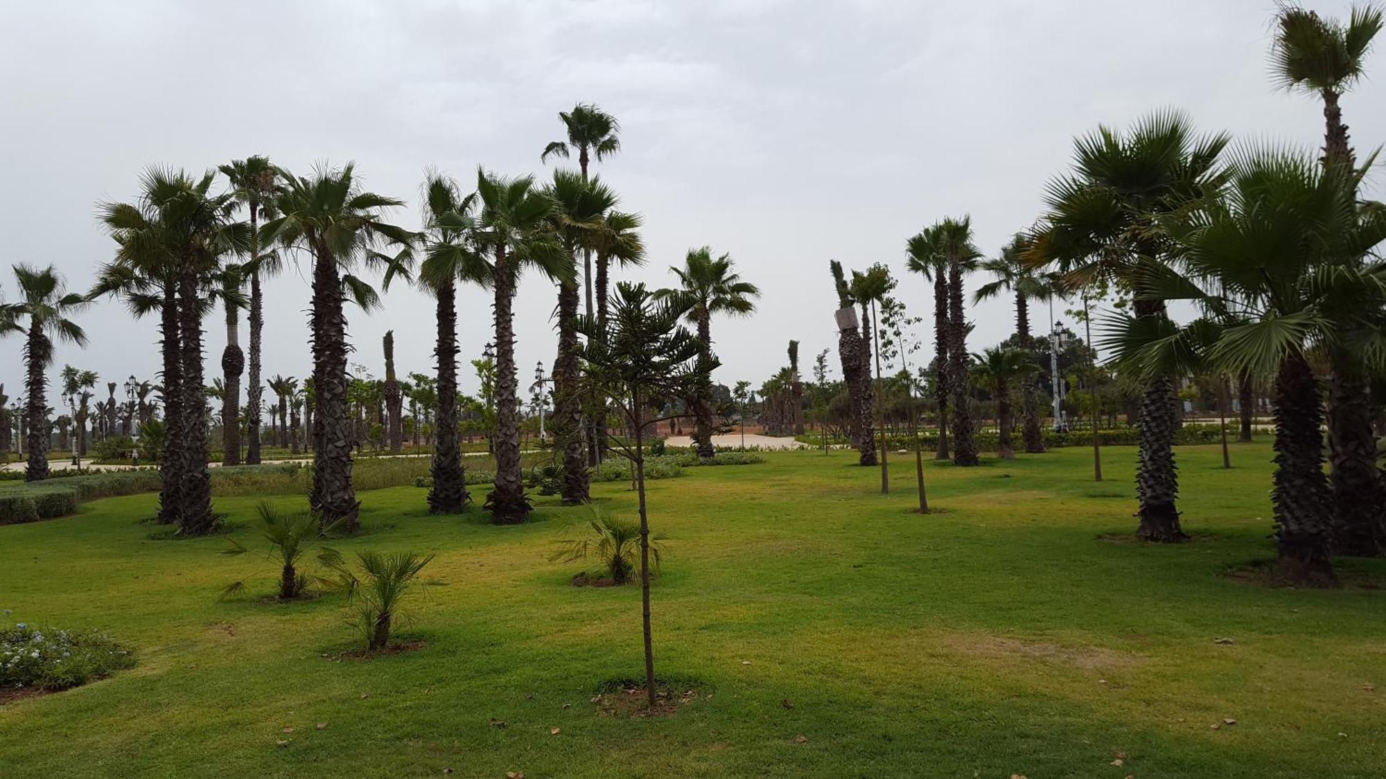 Appartement Agreable Avec 2 Tres Belles Terrasses Au Coeur De Rabat Zewnętrze zdjęcie